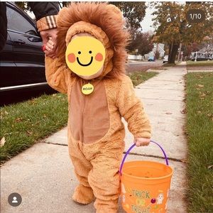 Lion costume